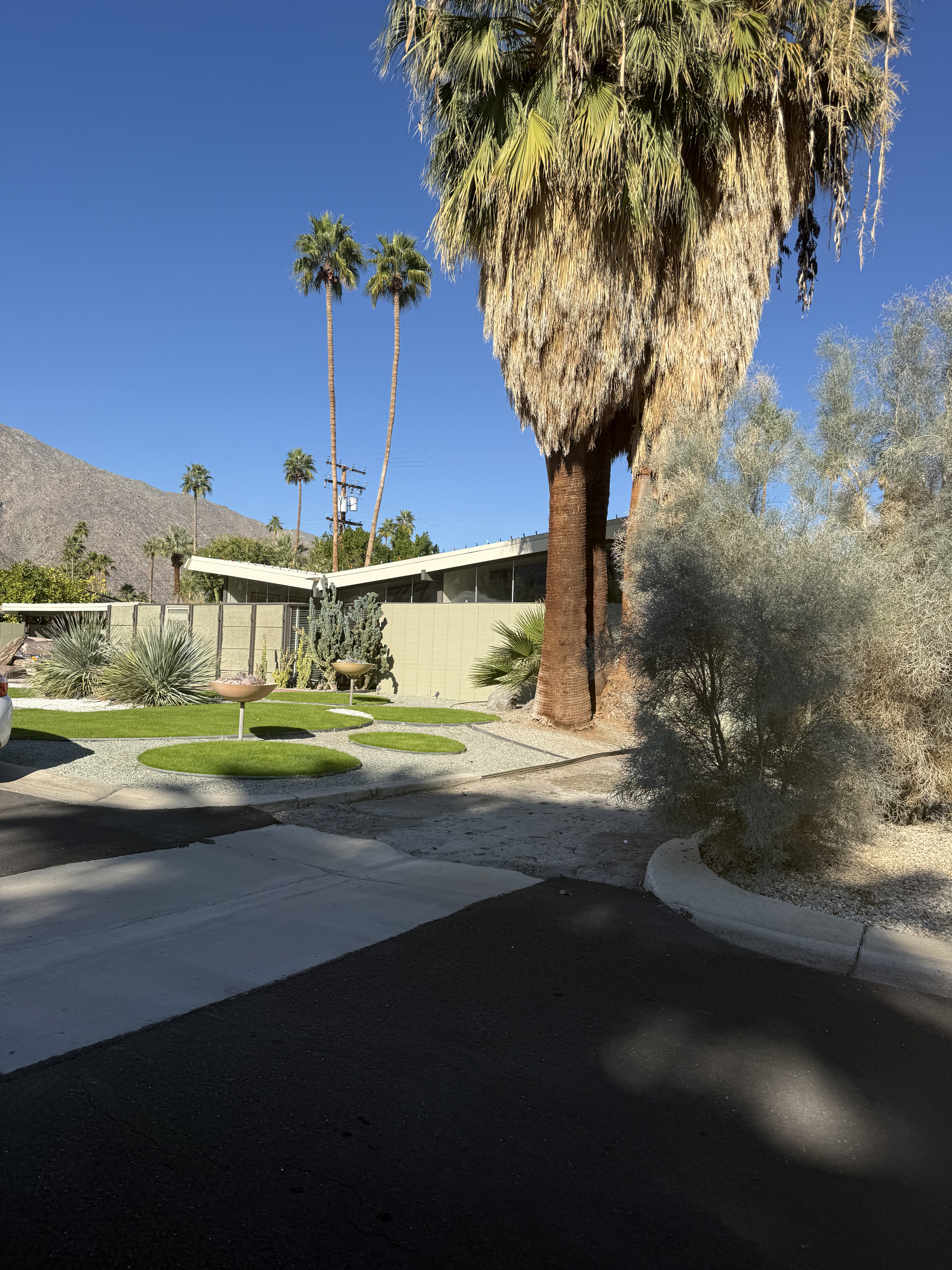 Alexander House, Palmer & Krisel, 1957, Palm Springs (view 2 of 2)