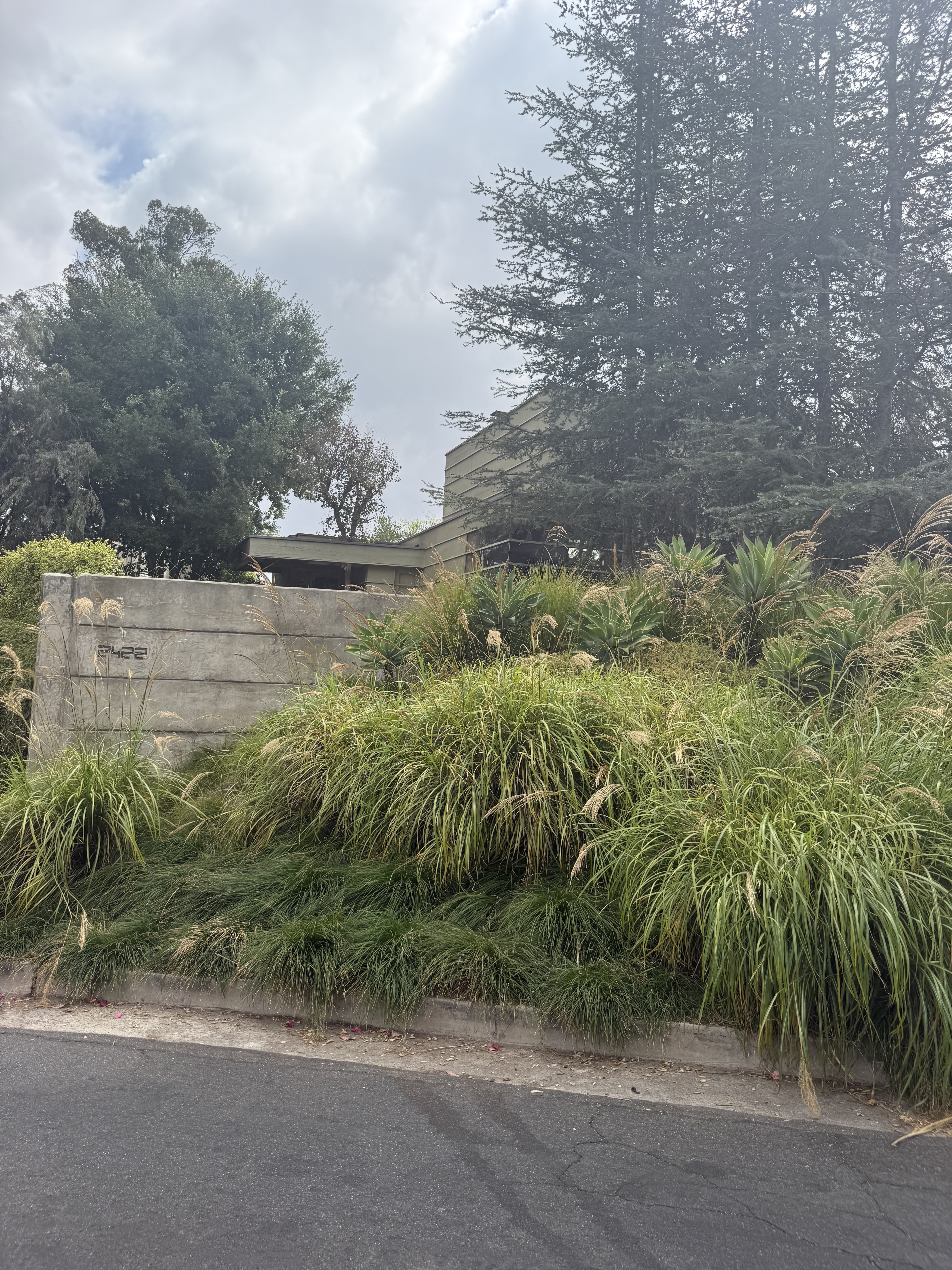 How House, Rudolph Schindler, 1925, Silver Lake (view 2 of 2)