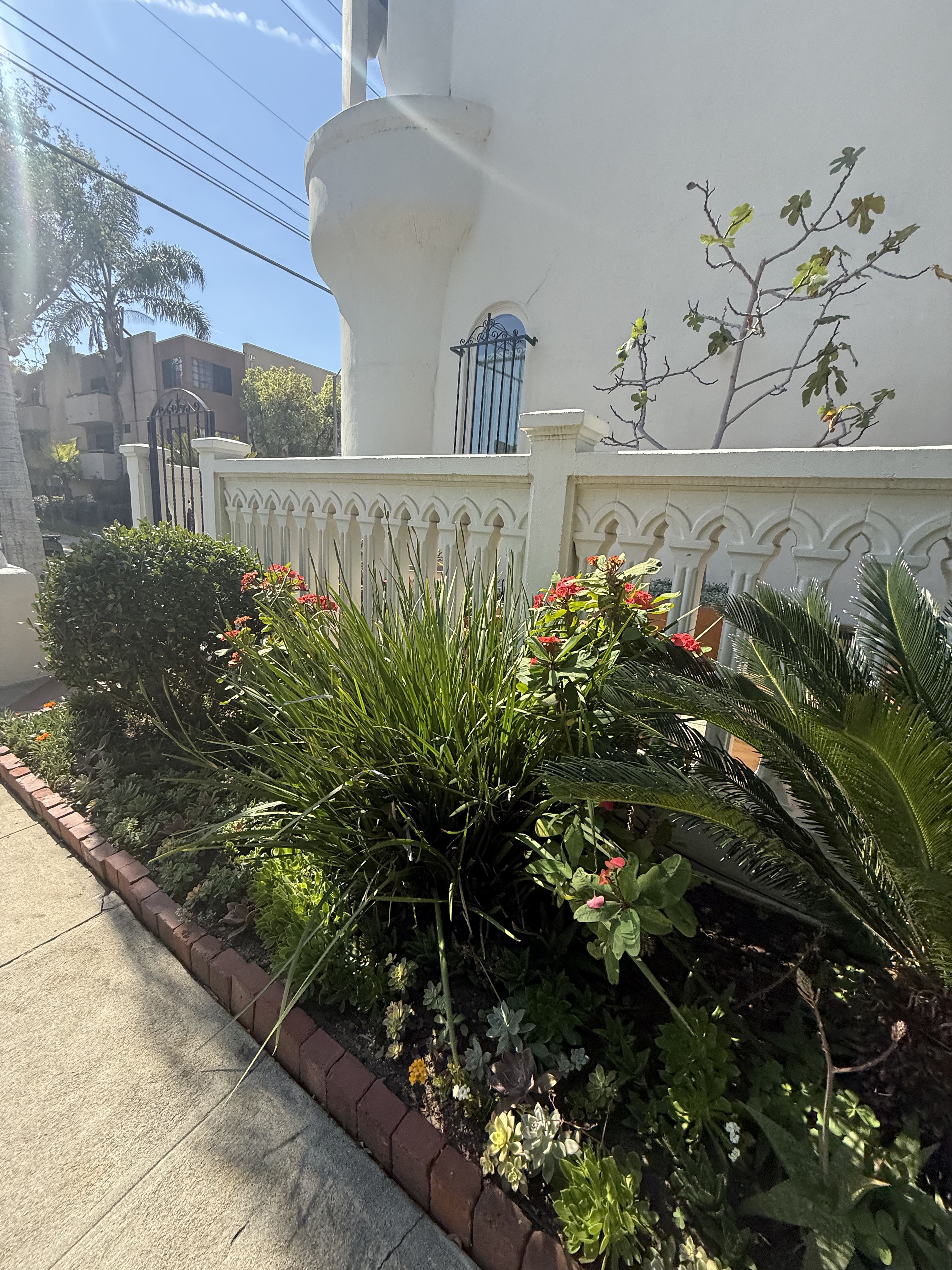 Kay Triplex, Carl Kay, 1926, West Hollywood (view 4 of 7)
