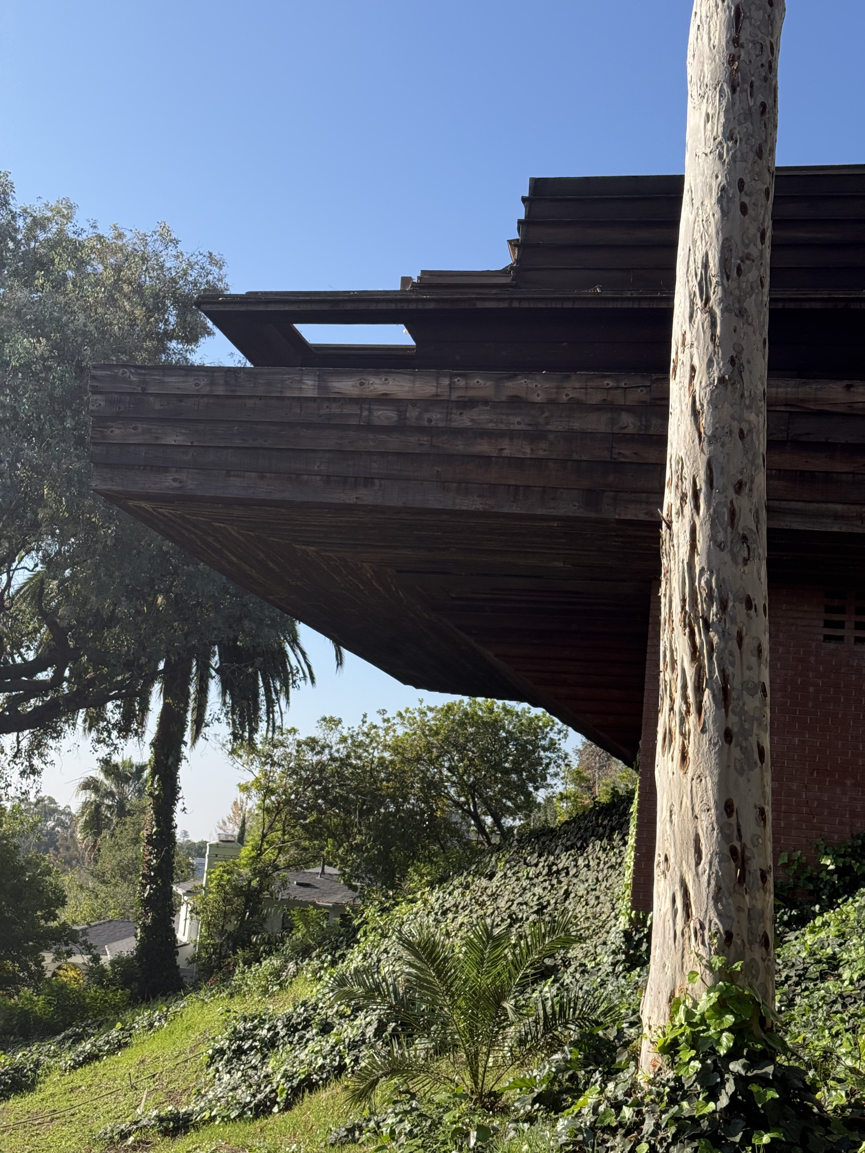 Sturges House, Frank Lloyd Wright, 1939, Santa Monica (view 4 of 4)
