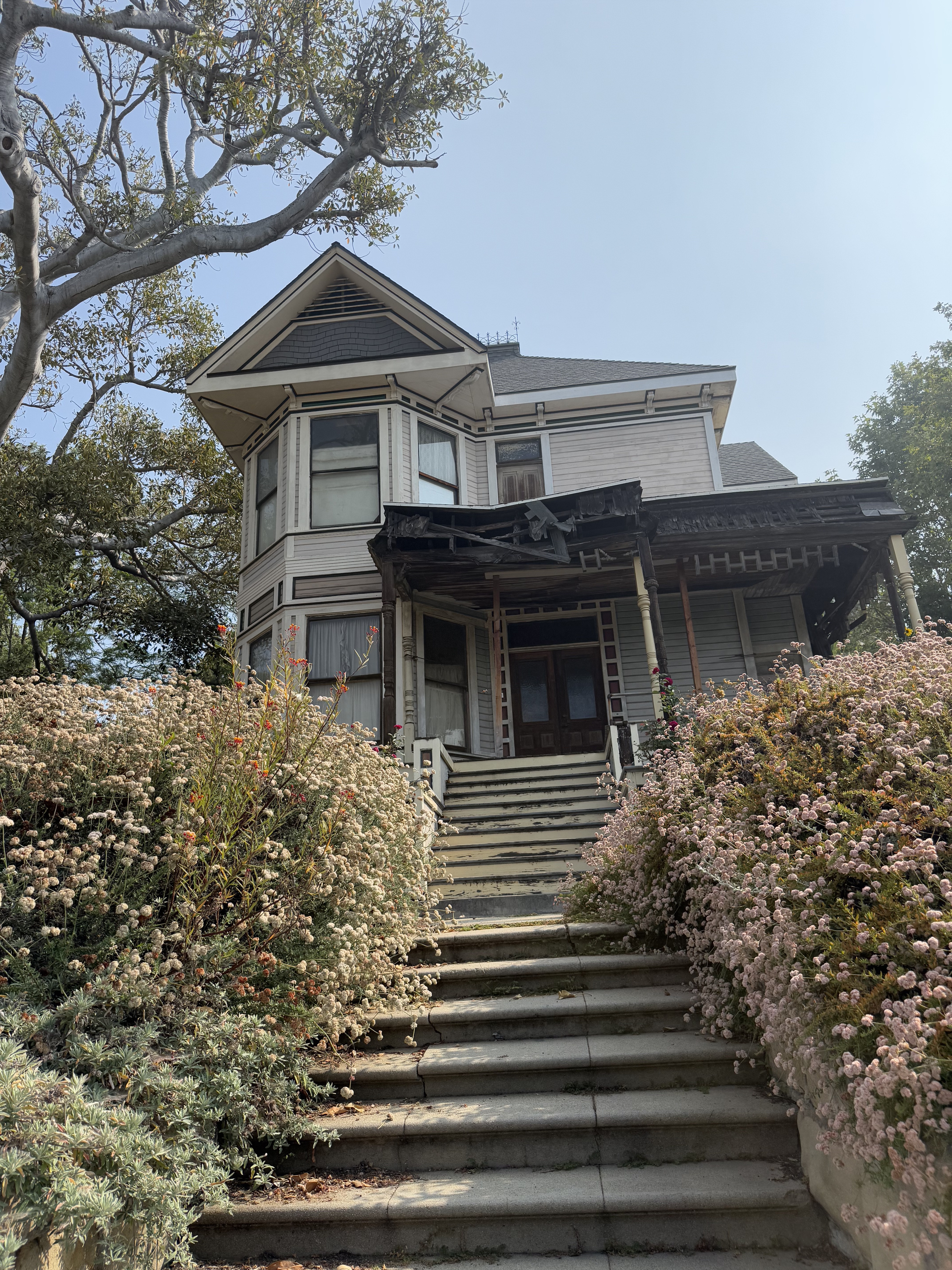 Victorian Row
