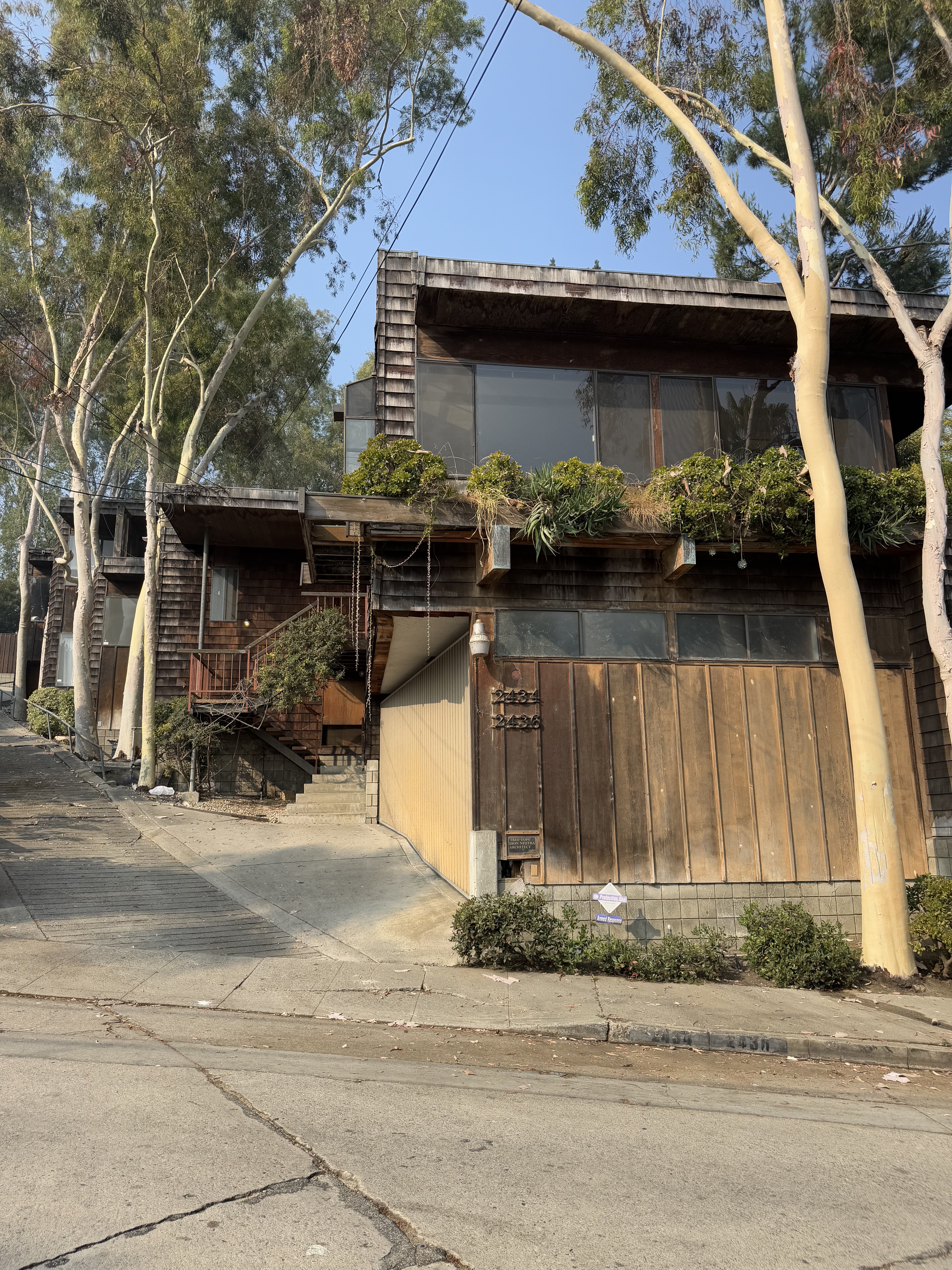 Treetops Apartments