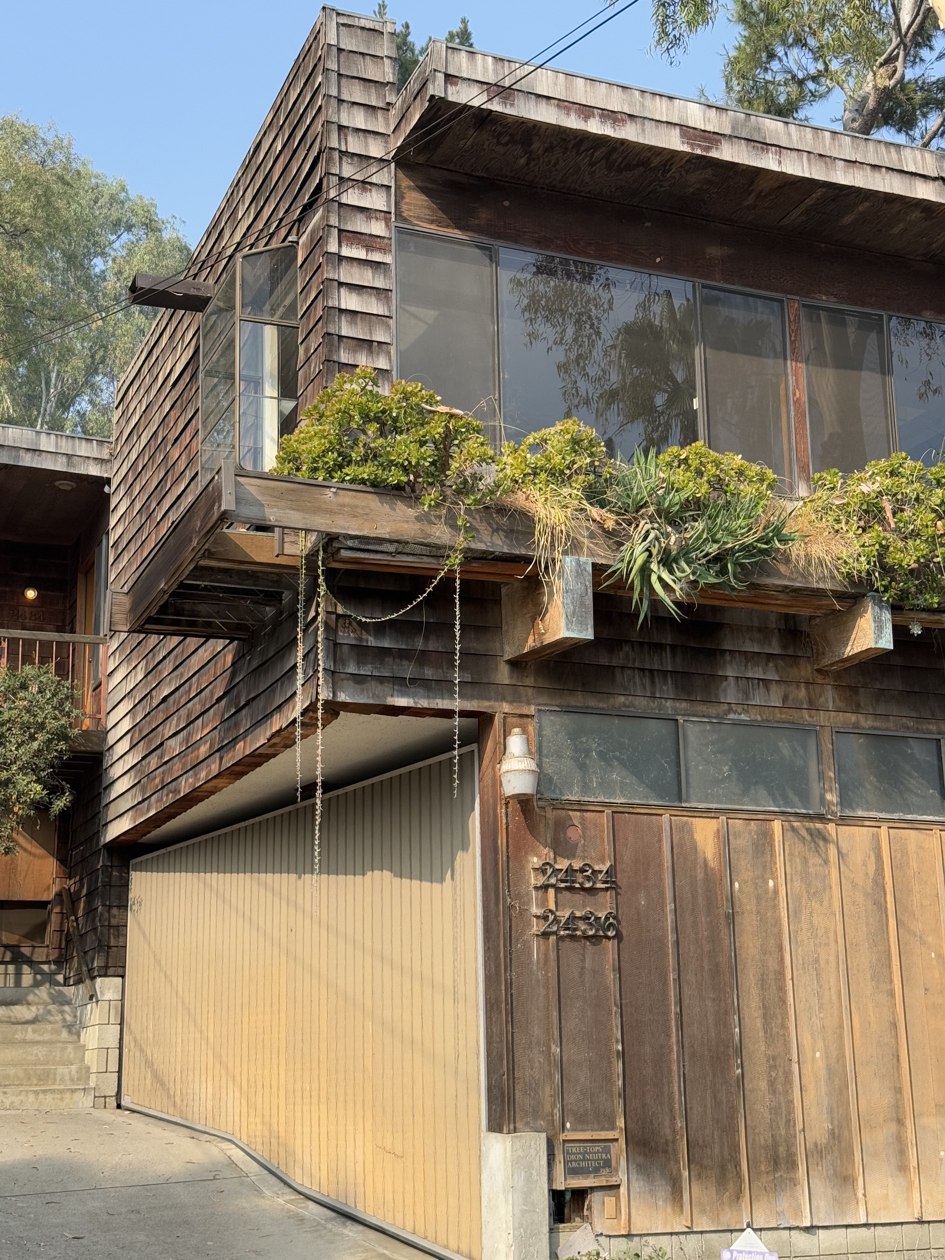 Treetops Apartments, Dion Neutra, 1980, Silver Lake (view 2 of 4)