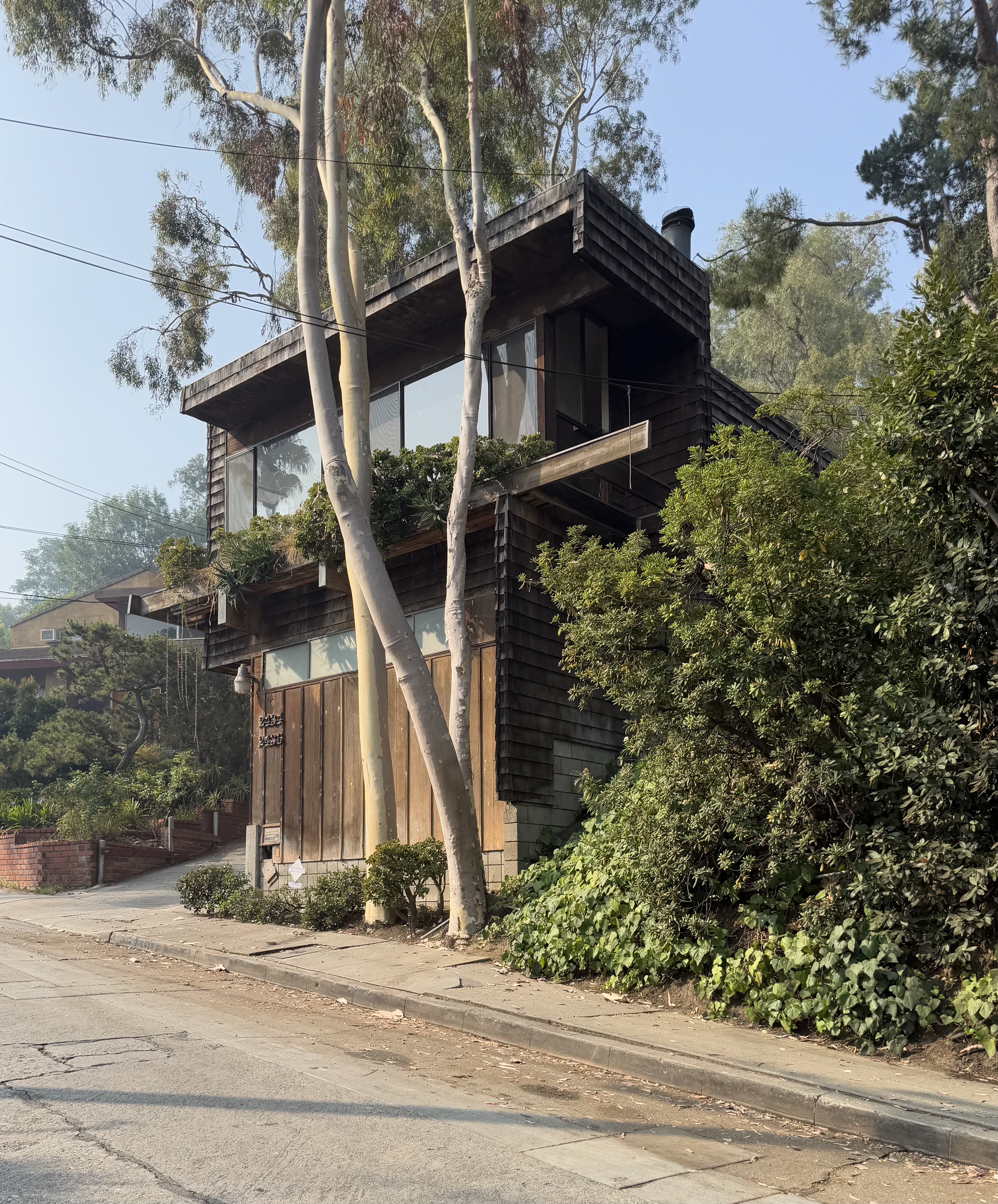 Treetops Apartments, Dion Neutra, 1980, Silver Lake (view 3 of 4)